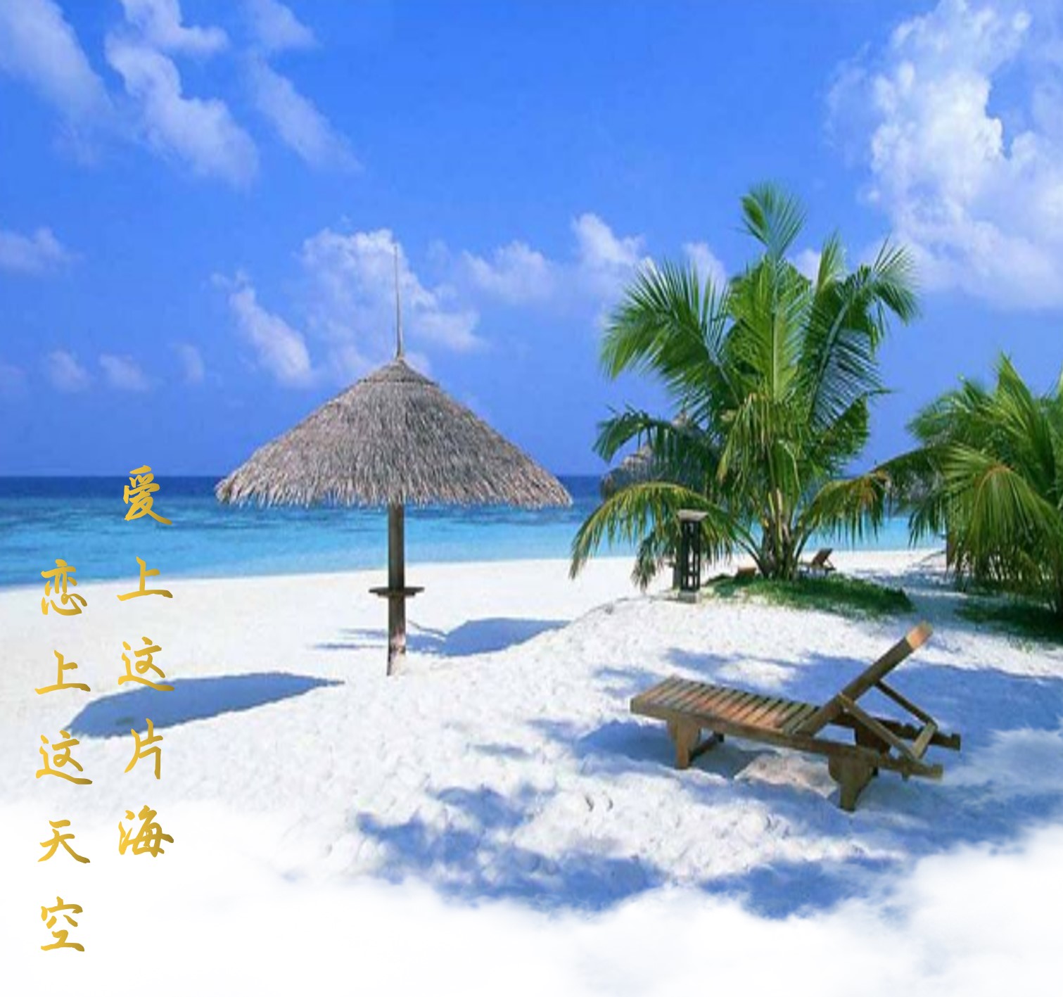 ������Ƭ�� ������Ƭ��