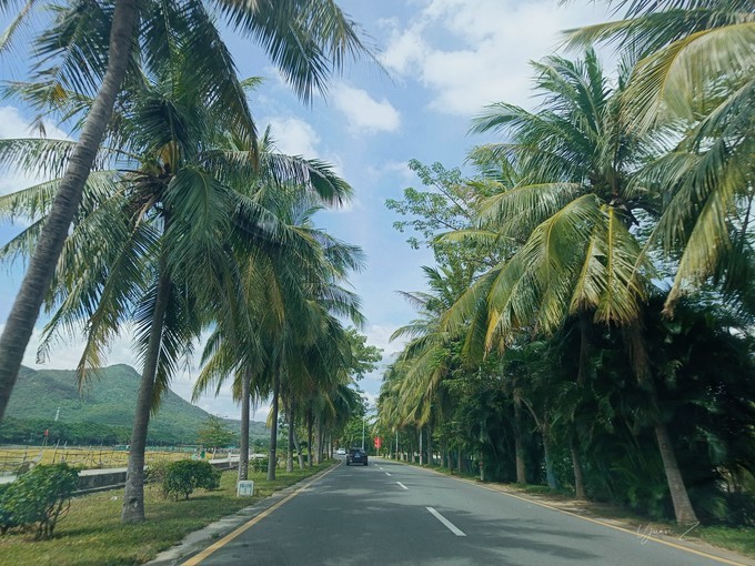 �����˼������Ϸ�������