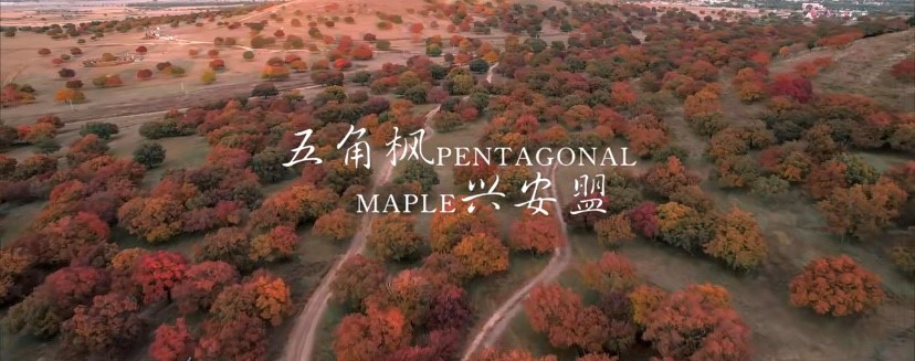 ˰˷羰续