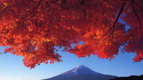 �ձ�3����5���θ�������ǩ֤������ǩ��3���5����+������Ʊ�Ƶ궩��