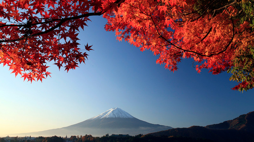 �ձ�3���µ��θ�������ǩ֤�Ϻ���ǩ������+�����ʲ�+�����+˳�������